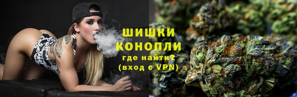 ПСИЛОЦИБИНОВЫЕ ГРИБЫ Алексин
