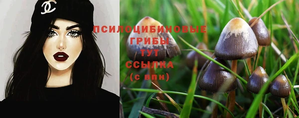 ПСИЛОЦИБИНОВЫЕ ГРИБЫ Алексин