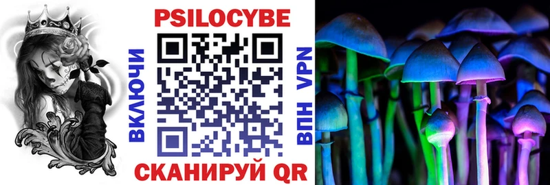 Галлюциногенные грибы Cubensis  Циолковский 